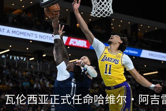 瓦伦西亚正式任命哈维尔·阿吉雷为新主教练